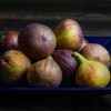 Hardy Chicago Figs